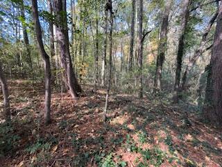 Ryman Ridge Road, Dalton, Georgia image 3