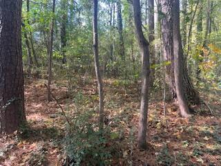Ryman Ridge Road, Dalton, Georgia image 5