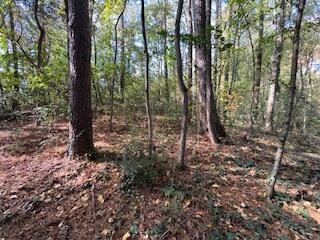 Ryman Ridge Road, Dalton, Georgia image 4
