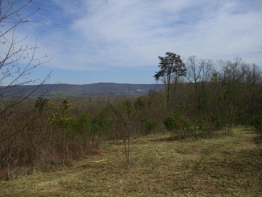 327 Odyssey Farms Roads, Pikeville, Tennessee image 25