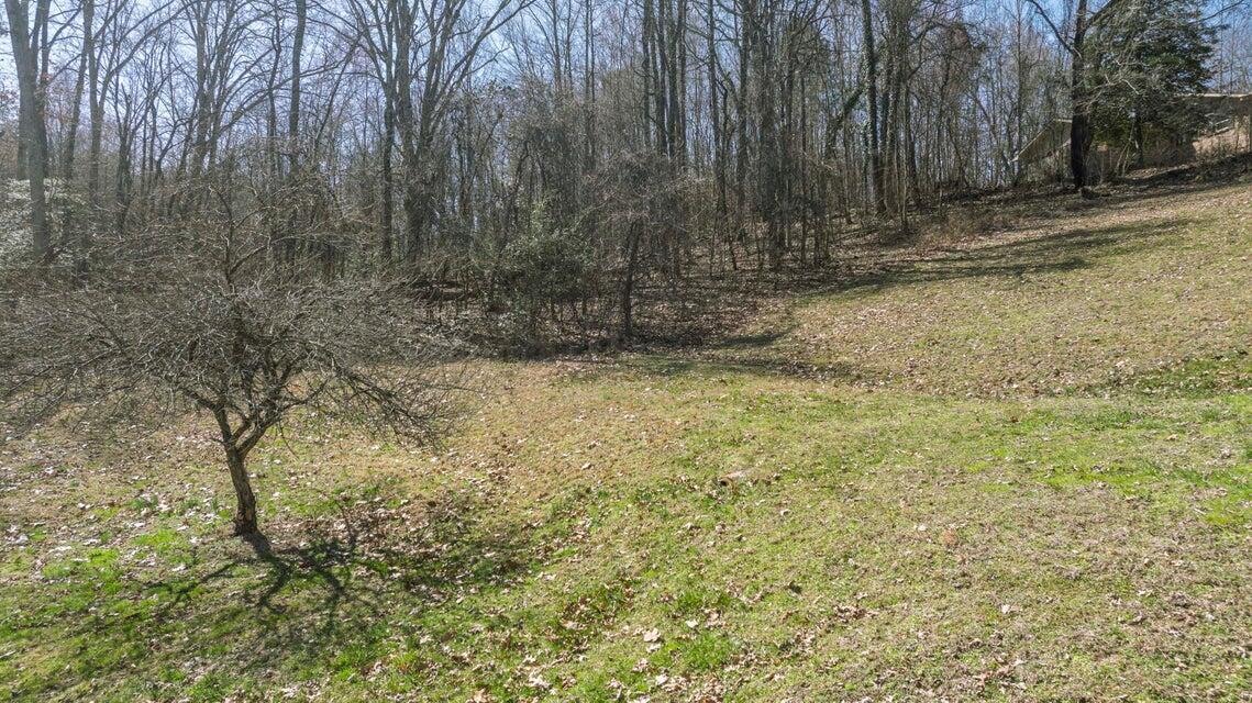 000 Signal Drive, Spring City, Tennessee image 2