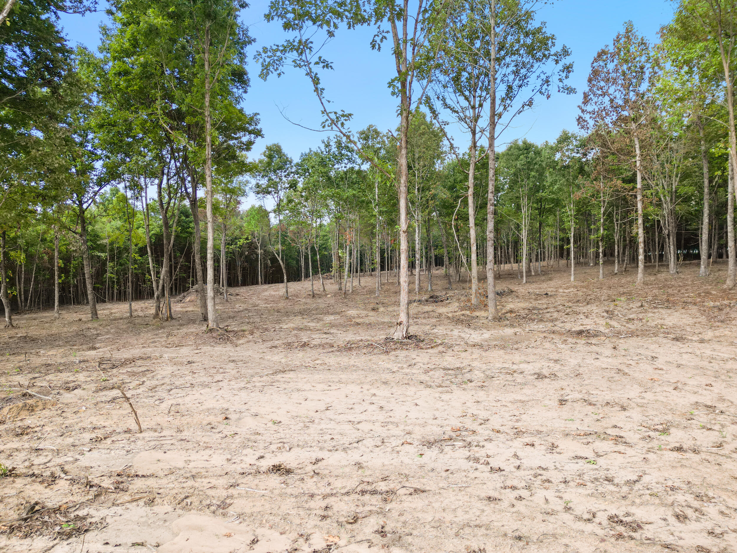 42 Deerpoint Road #LOT 44, Dunlap, Tennessee image 4