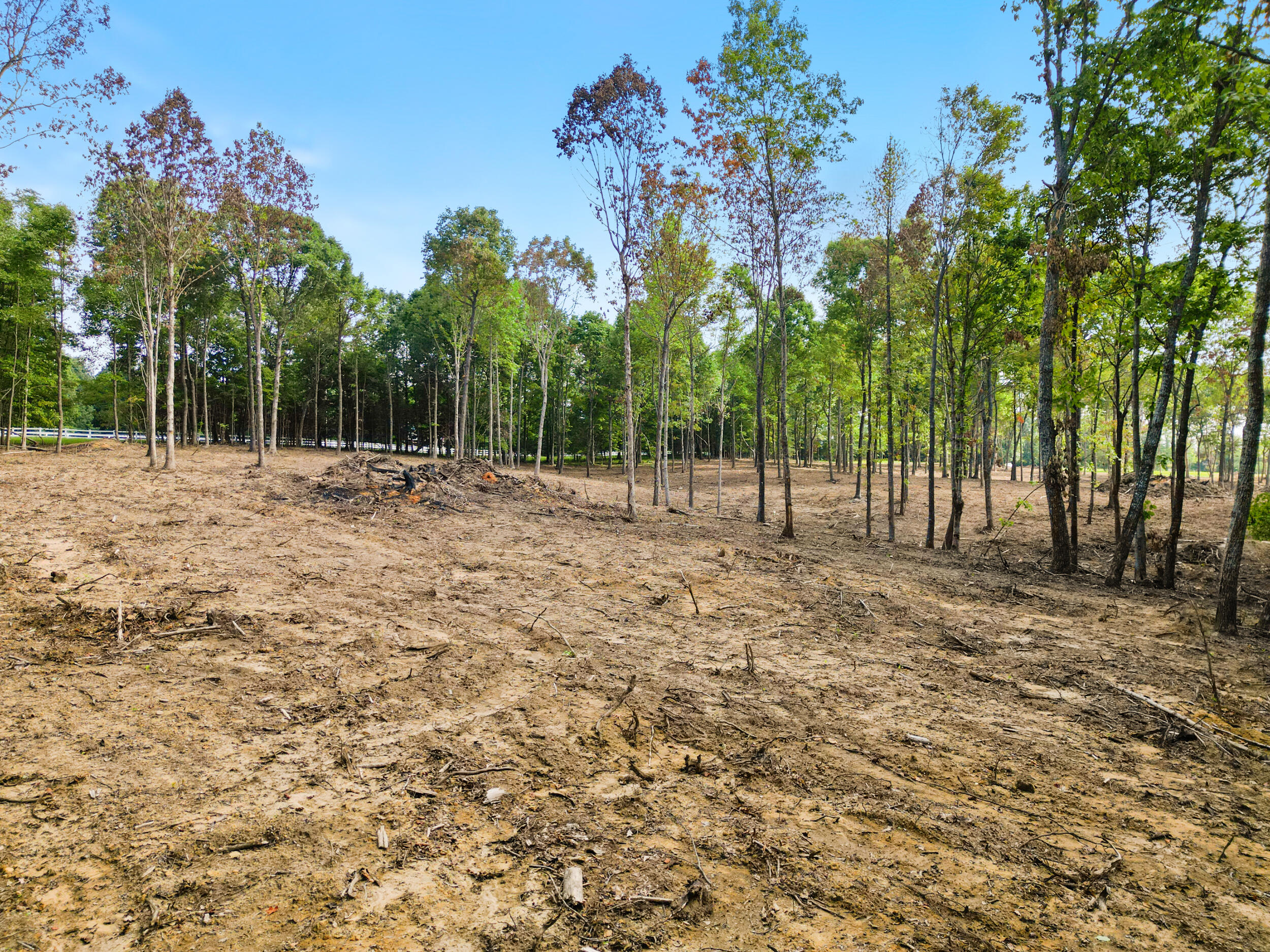 42 Deerpoint Road #LOT 44, Dunlap, Tennessee image 2