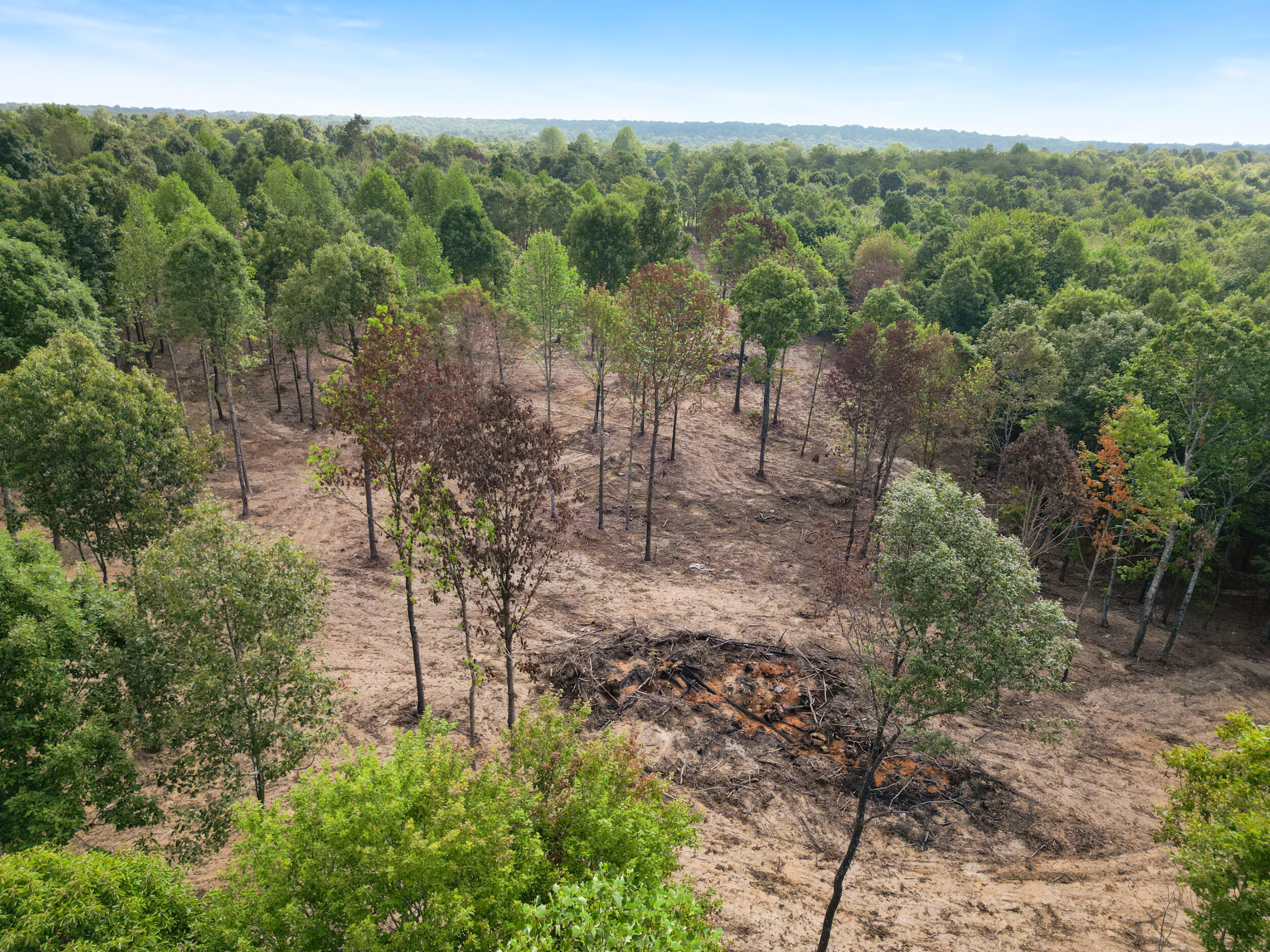 42 Deerpoint Road #LOT 44, Dunlap, Tennessee image 12