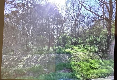 Vacant Land For Sale - Holcomb Road<br/> Ringgold, GA 30736