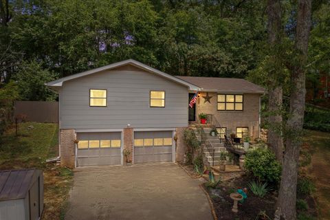 209 Cinderella Drive Flintstone GA 30725