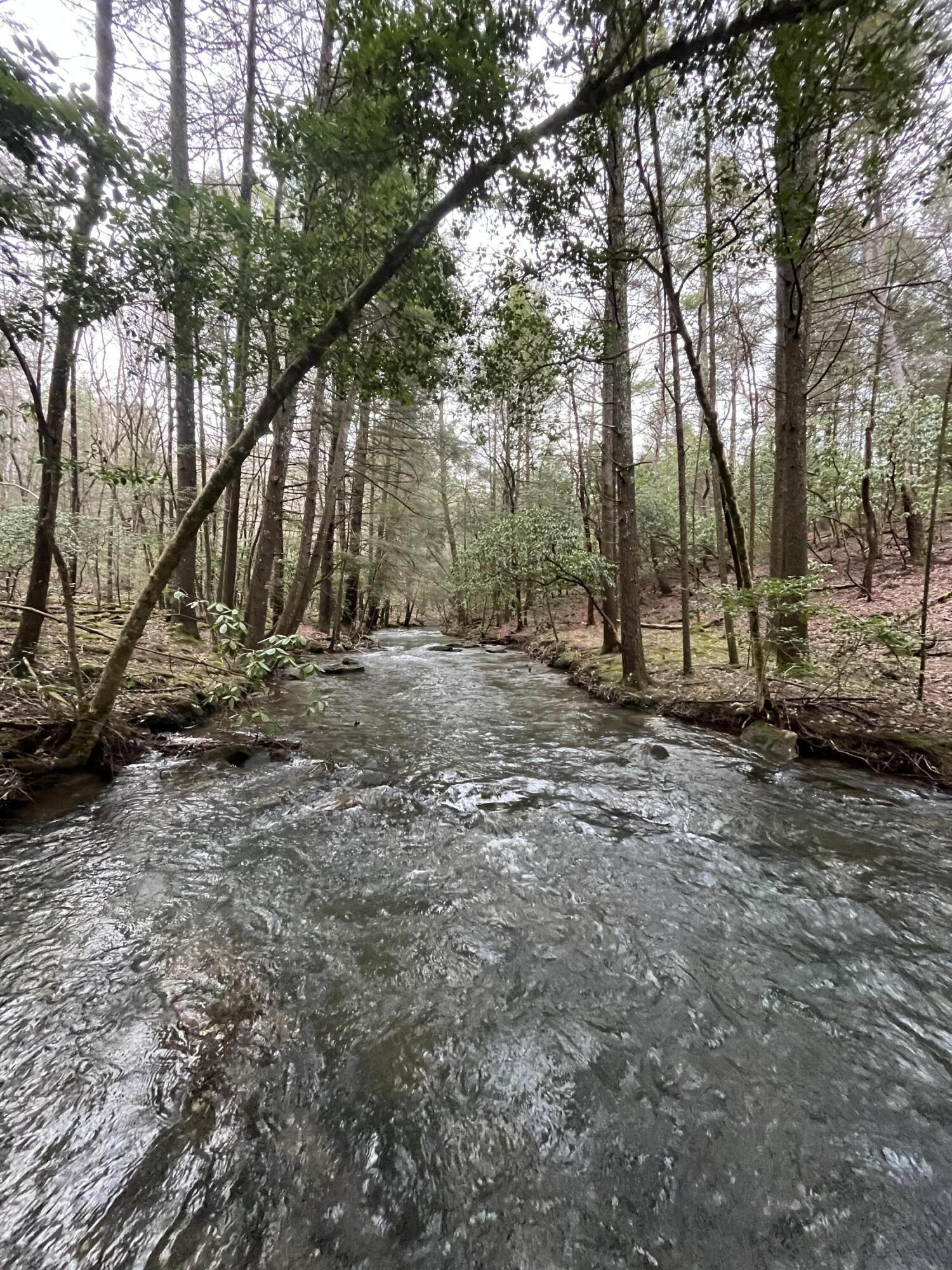 1908 Clear Brooks Drive