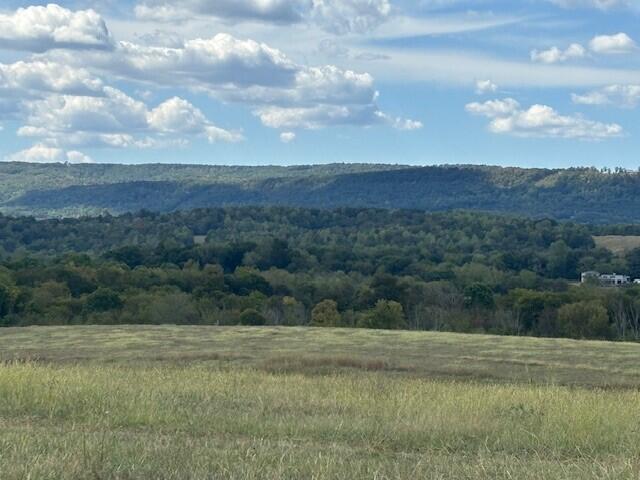 Brownsville Trail, Pikeville, Tennessee image 3