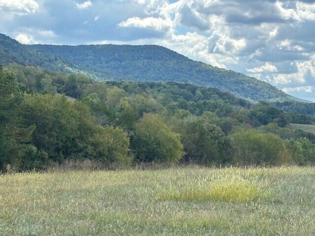 Brownsville Trail, Pikeville, Tennessee image 2