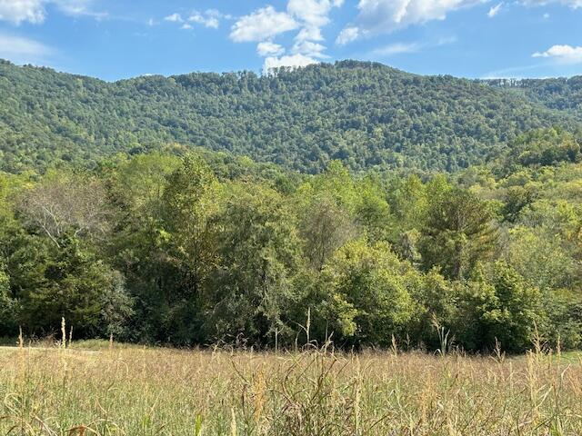 Brownsville Trail, Pikeville, Tennessee image 5