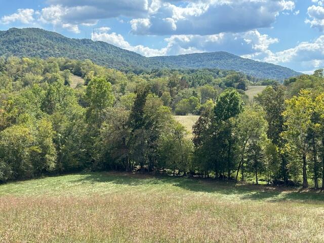 Brownsville Trail, Pikeville, Tennessee image 4