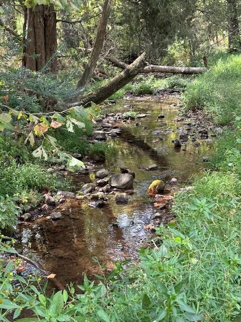 Brownsville Trail, Pikeville, Tennessee image 10