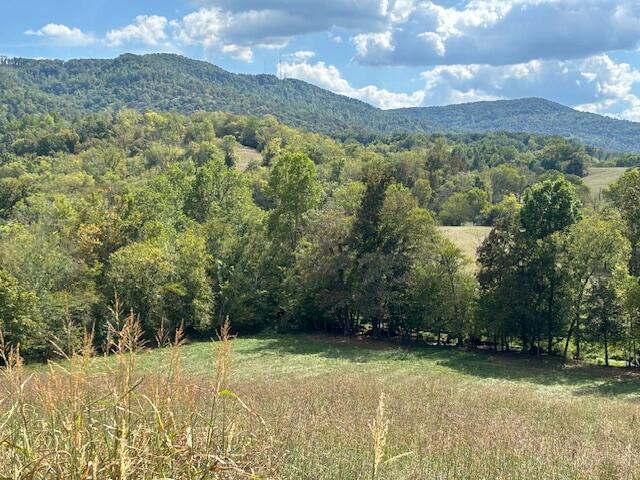 Brownsville Trail, Pikeville, Tennessee image 6