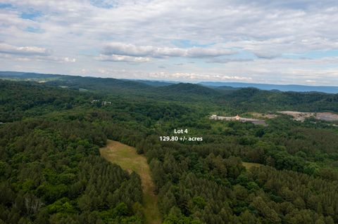 Tiny photo for Lot 4 State Highway 163, Calhoun, TN 37309 (MLS # 1356683)