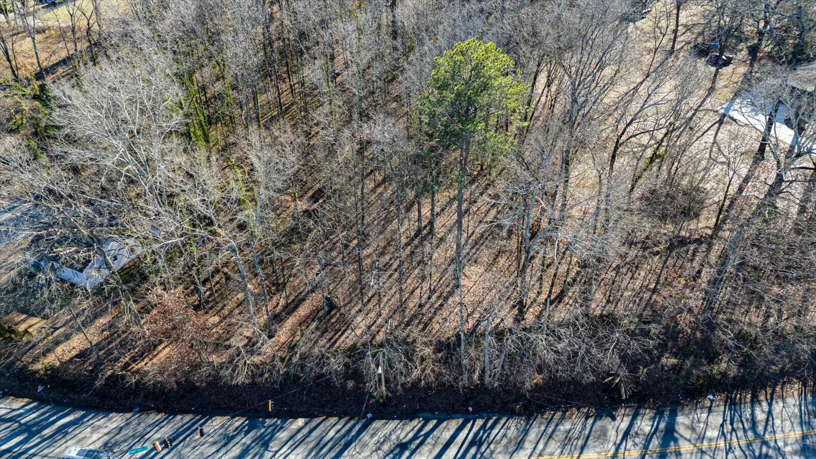 Bonny Oaks Drive, Chattanooga, Tennessee image 8