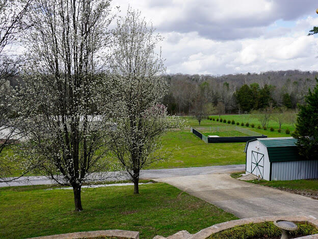 12811 Thatch Road, Harrison, Tennessee image 4