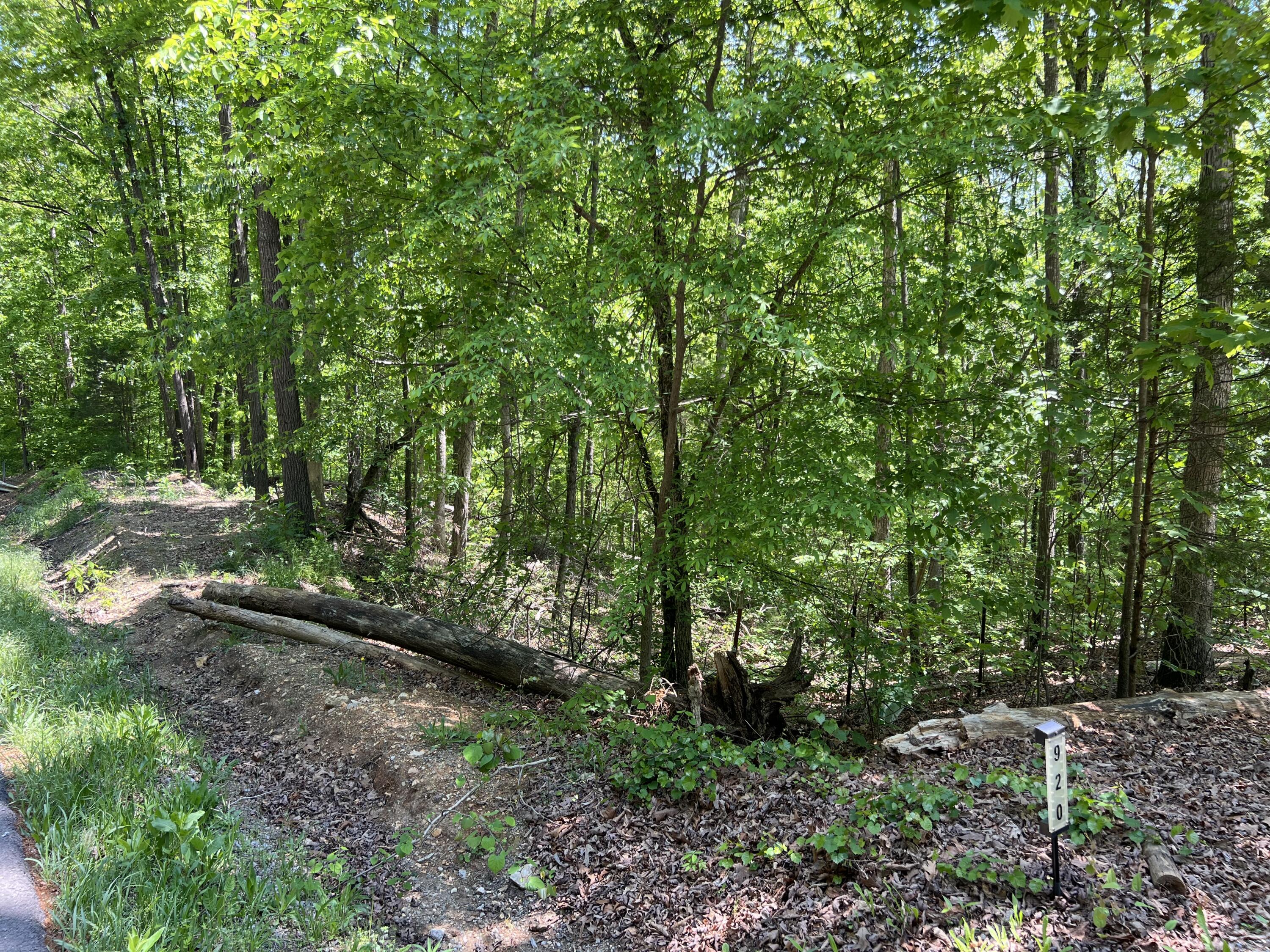 Hwy 163, Calhoun, Tennessee image 2