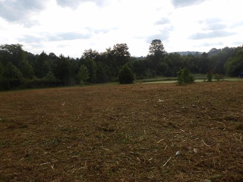 Vacant Land For Sale - LOT 43 Meadow Vw Road<br/> Pikeville, TN 37367