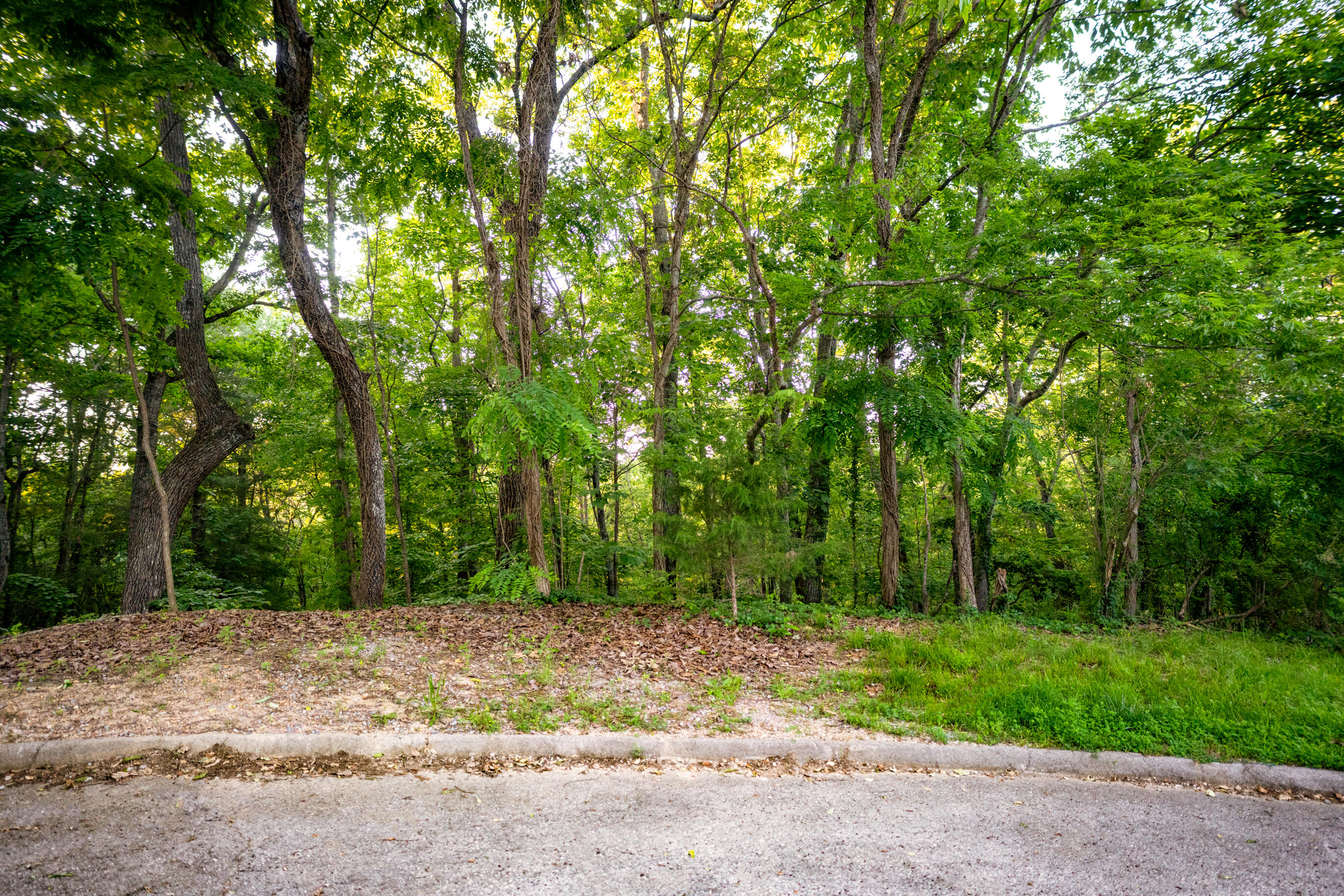 6615 River Winds Lane, Hixson, Tennessee image 2