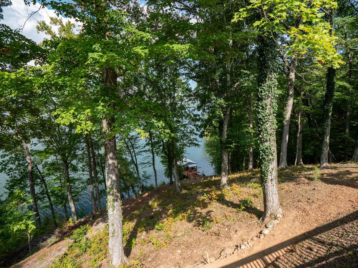 542 Sunset Hills Lane, Spring City, Tennessee image 42