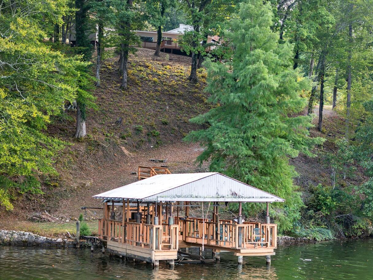 542 Sunset Hills Lane, Spring City, Tennessee image 4
