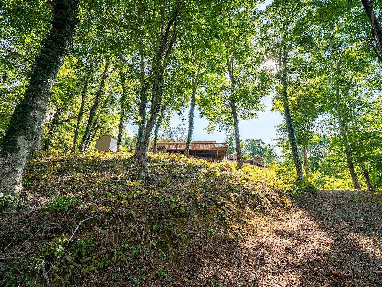542 Sunset Hills Lane, Spring City, Tennessee image 25