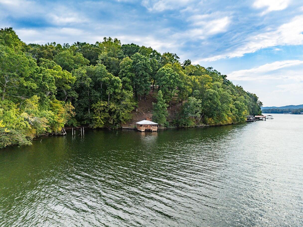 542 Sunset Hills Lane, Spring City, Tennessee image 1