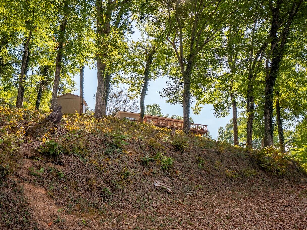 542 Sunset Hills Lane, Spring City, Tennessee image 24