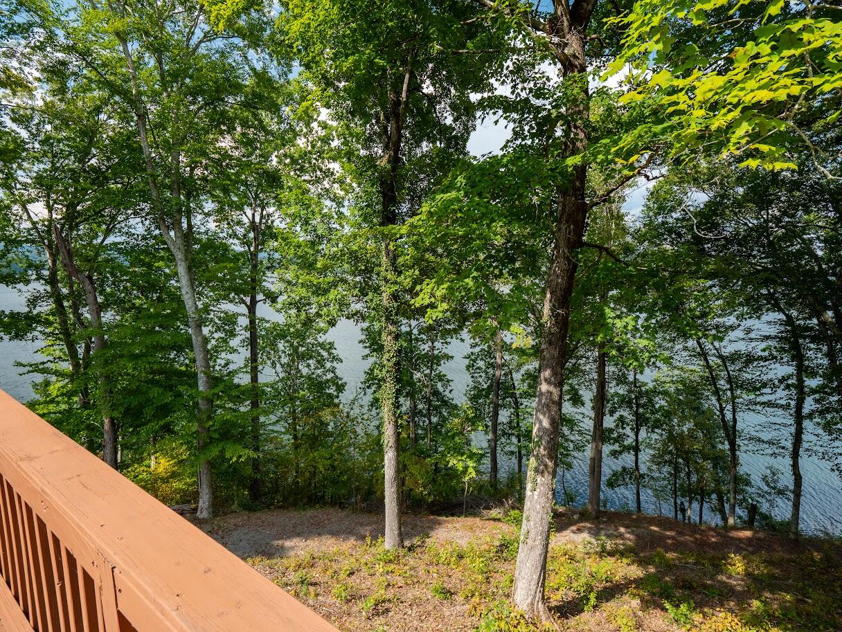 542 Sunset Hills Lane, Spring City, Tennessee image 41