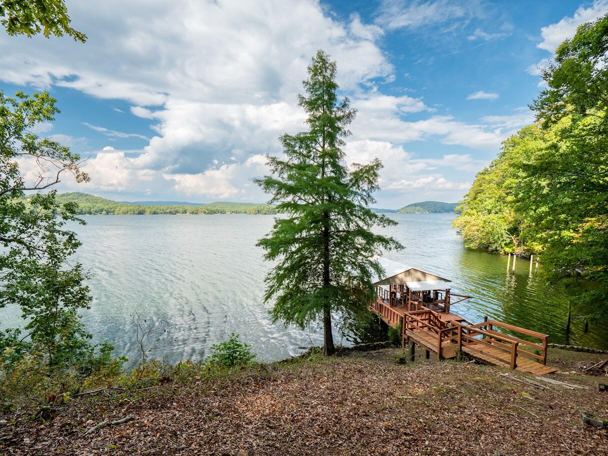 542 Sunset Hills Lane, Spring City, Tennessee image 17