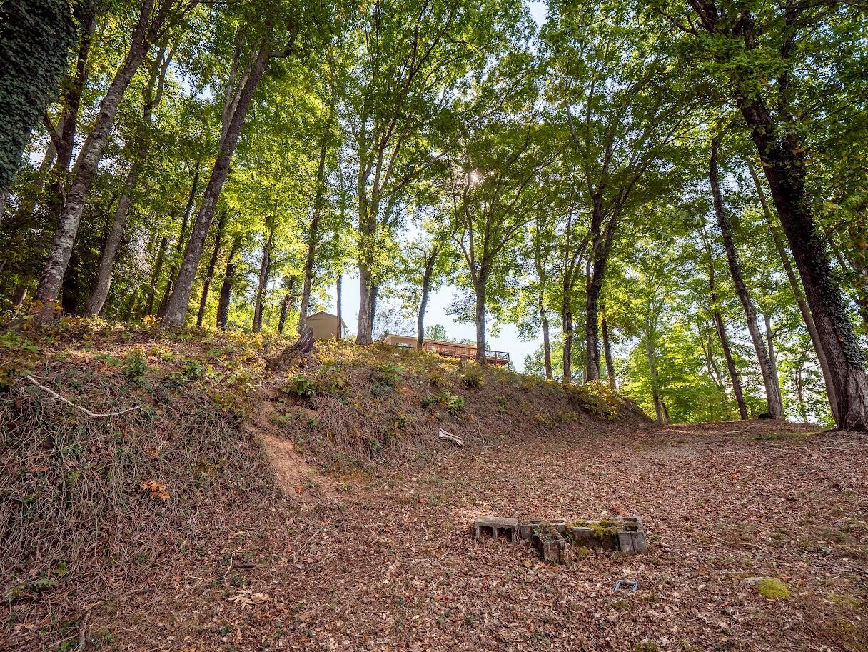542 Sunset Hills Lane, Spring City, Tennessee image 23