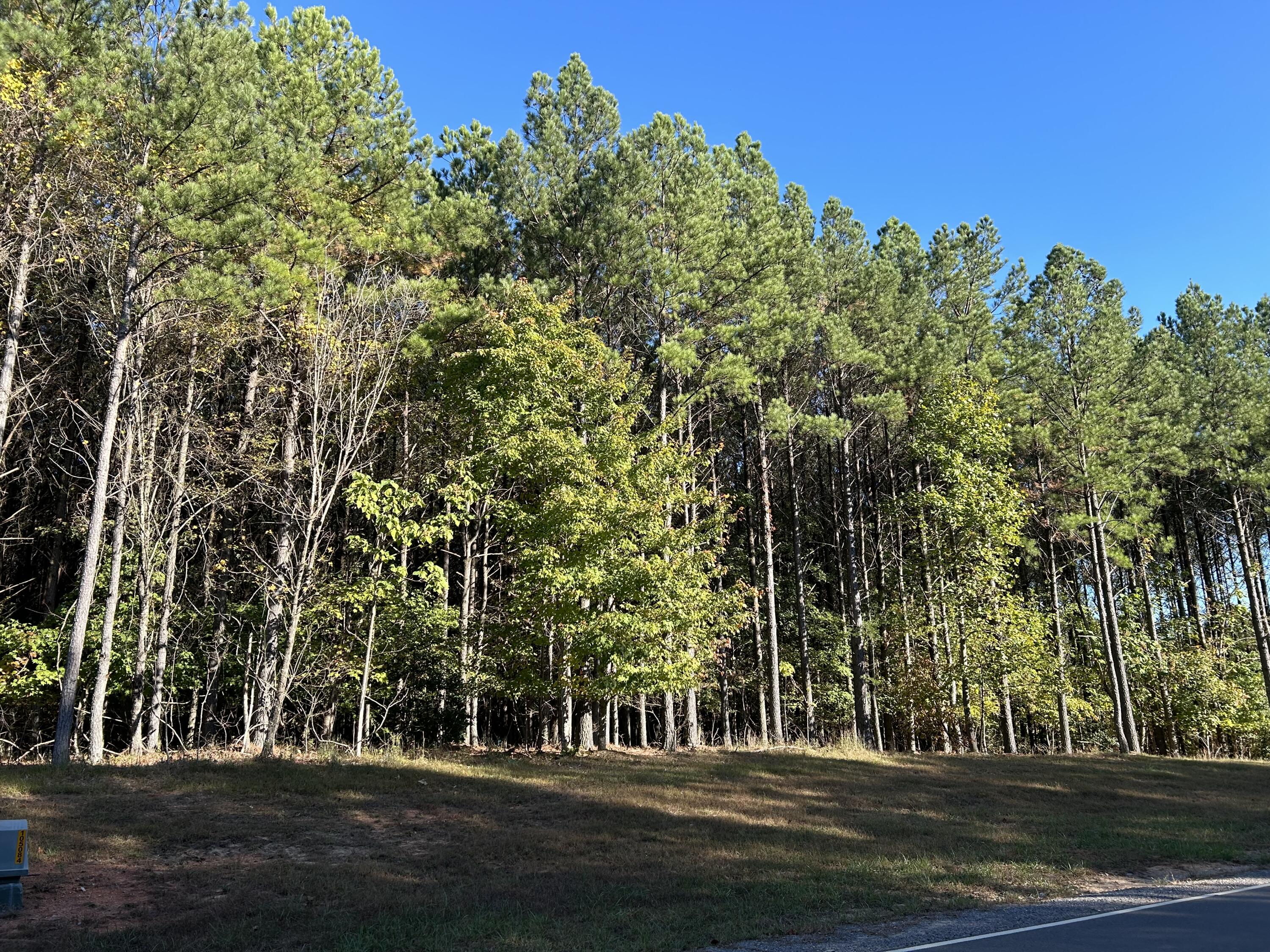 2035 Crockett Point #JF-609, Jasper, Tennessee image 2
