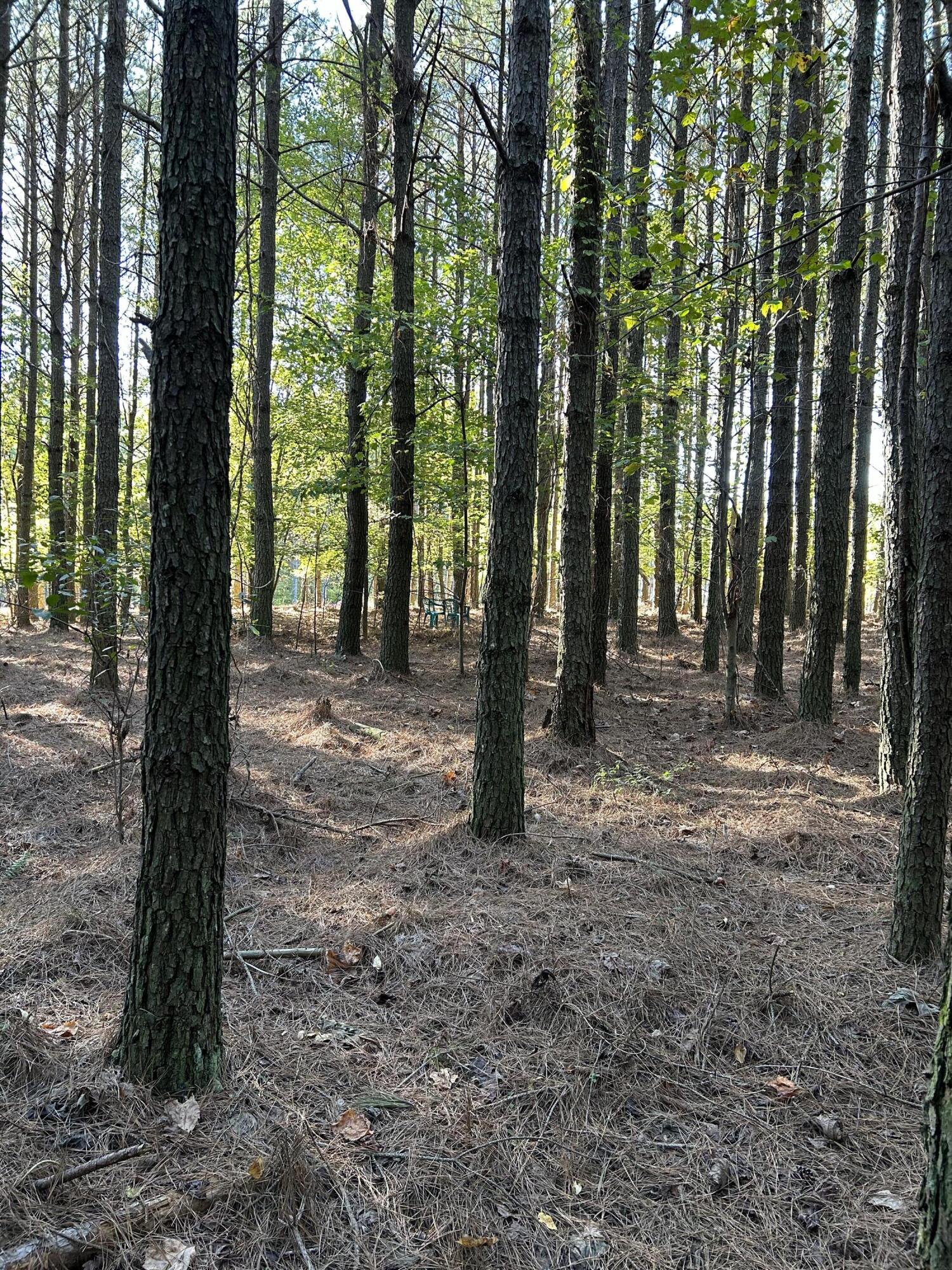 2035 Crockett Point #JF-609, Jasper, Tennessee image 7