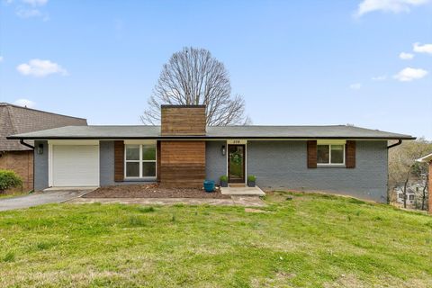 Photo of 208 Buena Vista Drive, Chattanooga, TN 37404 (MLS # 1530789)