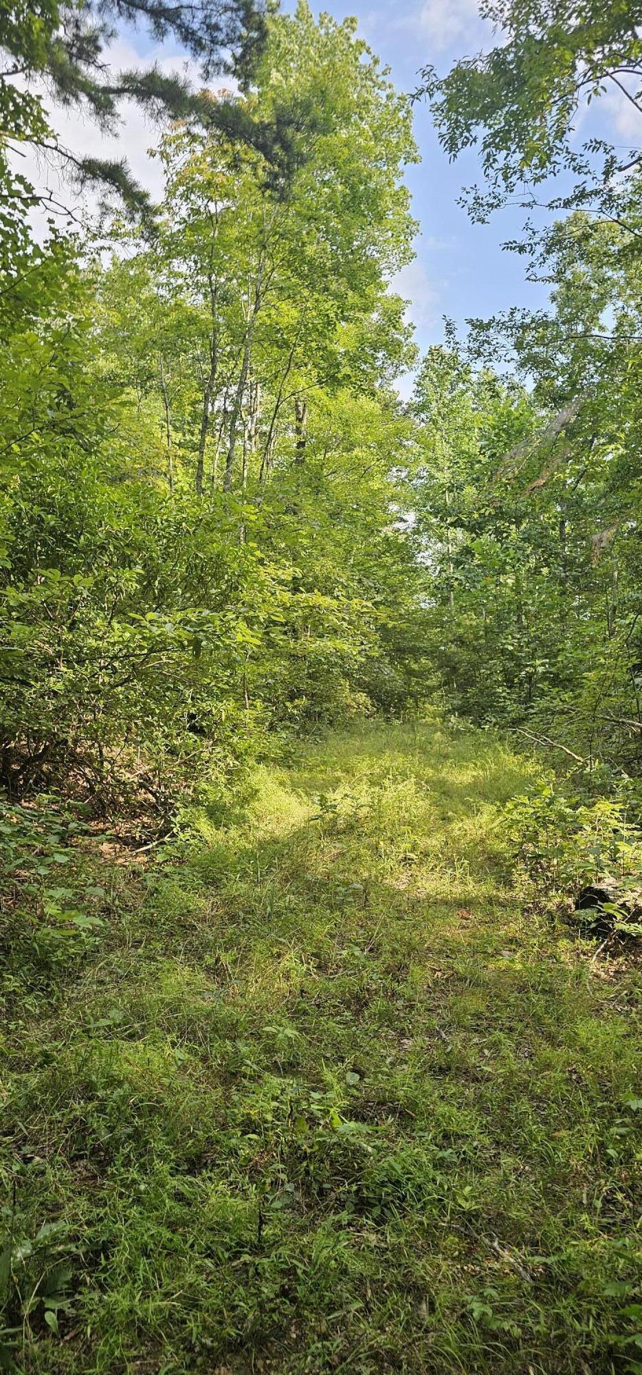 000 Cove Hill Road, Pikeville, Tennessee image 9