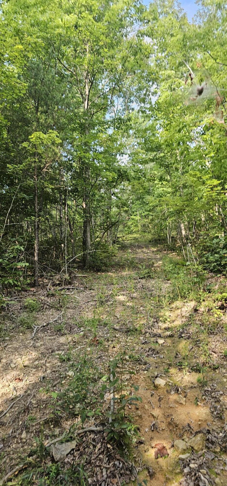 000 Cove Hill Road, Pikeville, Tennessee image 1