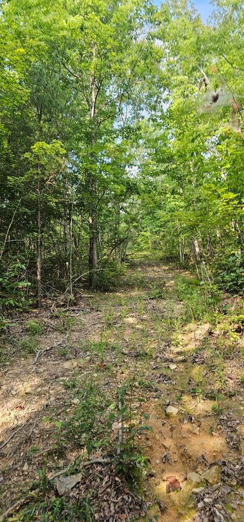 Photo of 000 Cove Hill Road, Pikeville, TN 37367 (MLS # 1397344)