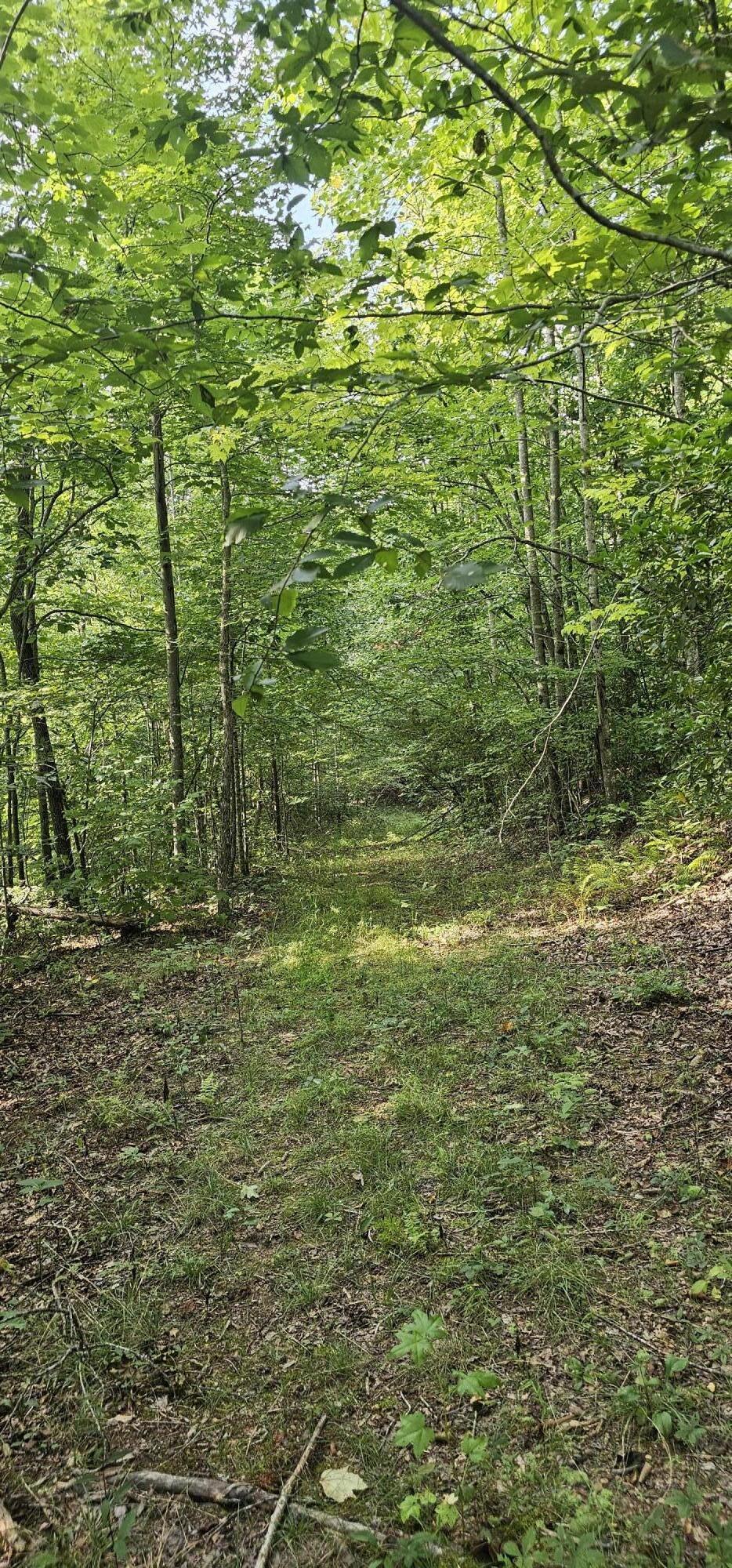 000 Cove Hill Road, Pikeville, Tennessee image 8