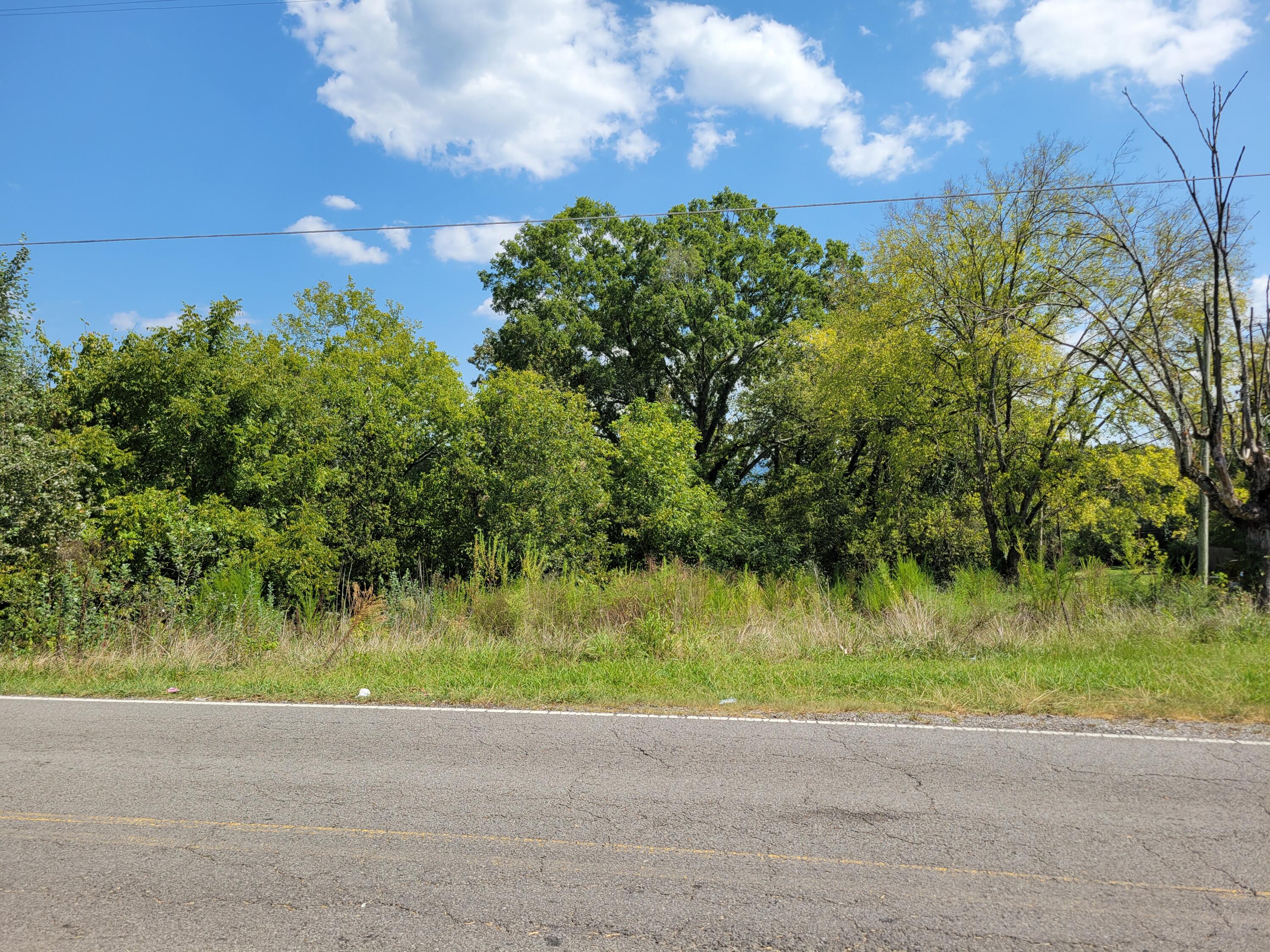 724 Dr, Lee Avenue #1,2, 3, Bridgeport, Alabama image 4