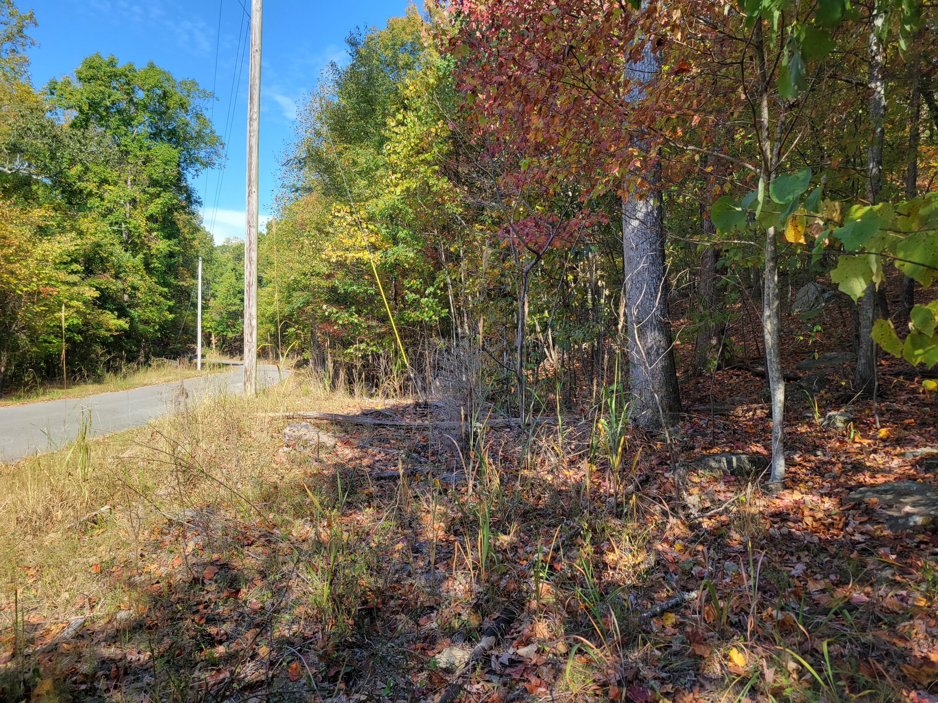 14 Raulstontown Road #14, South Pittsburg, Tennessee image 1