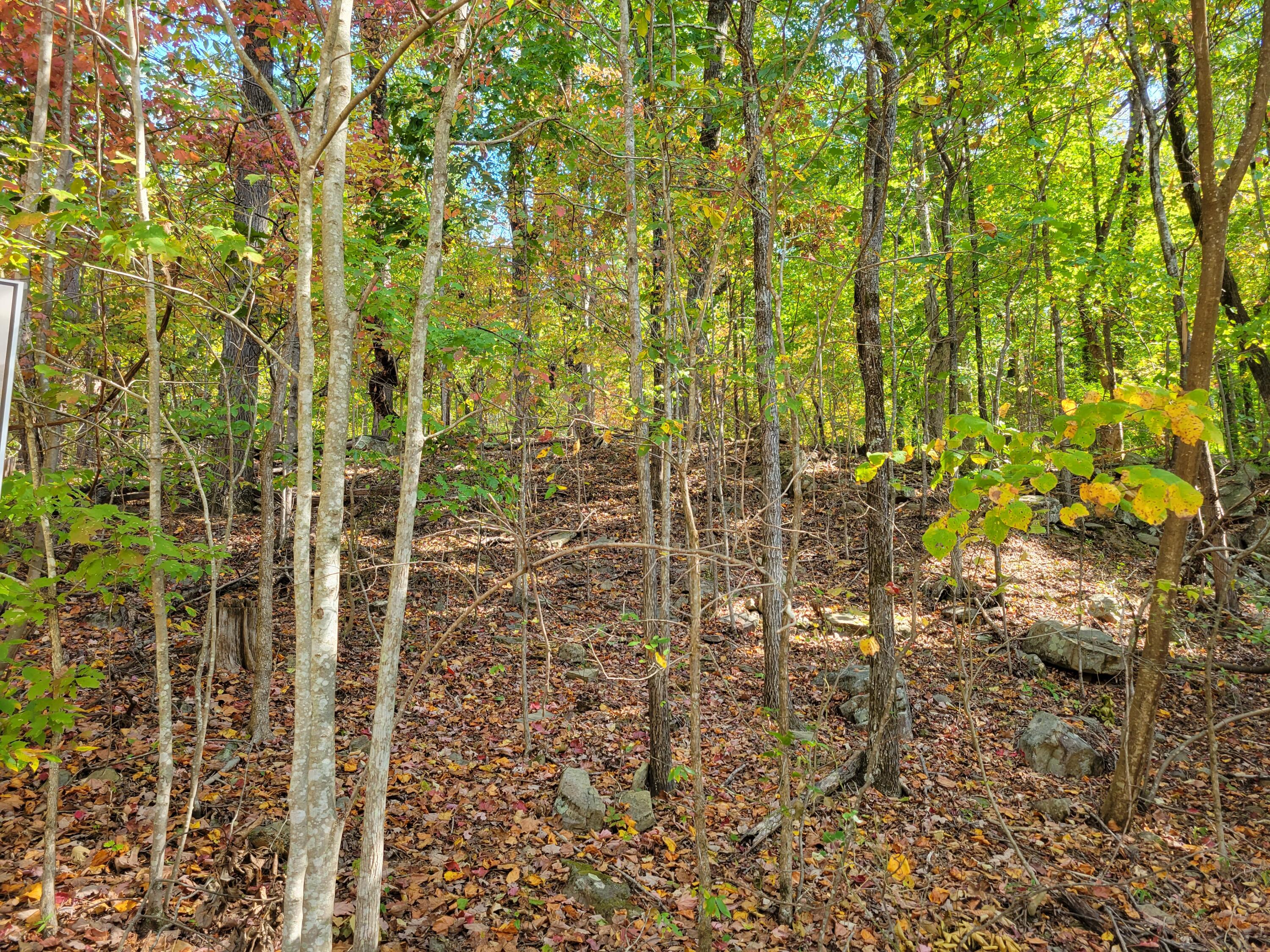 14 Raulstontown Road #14, South Pittsburg, Tennessee image 2