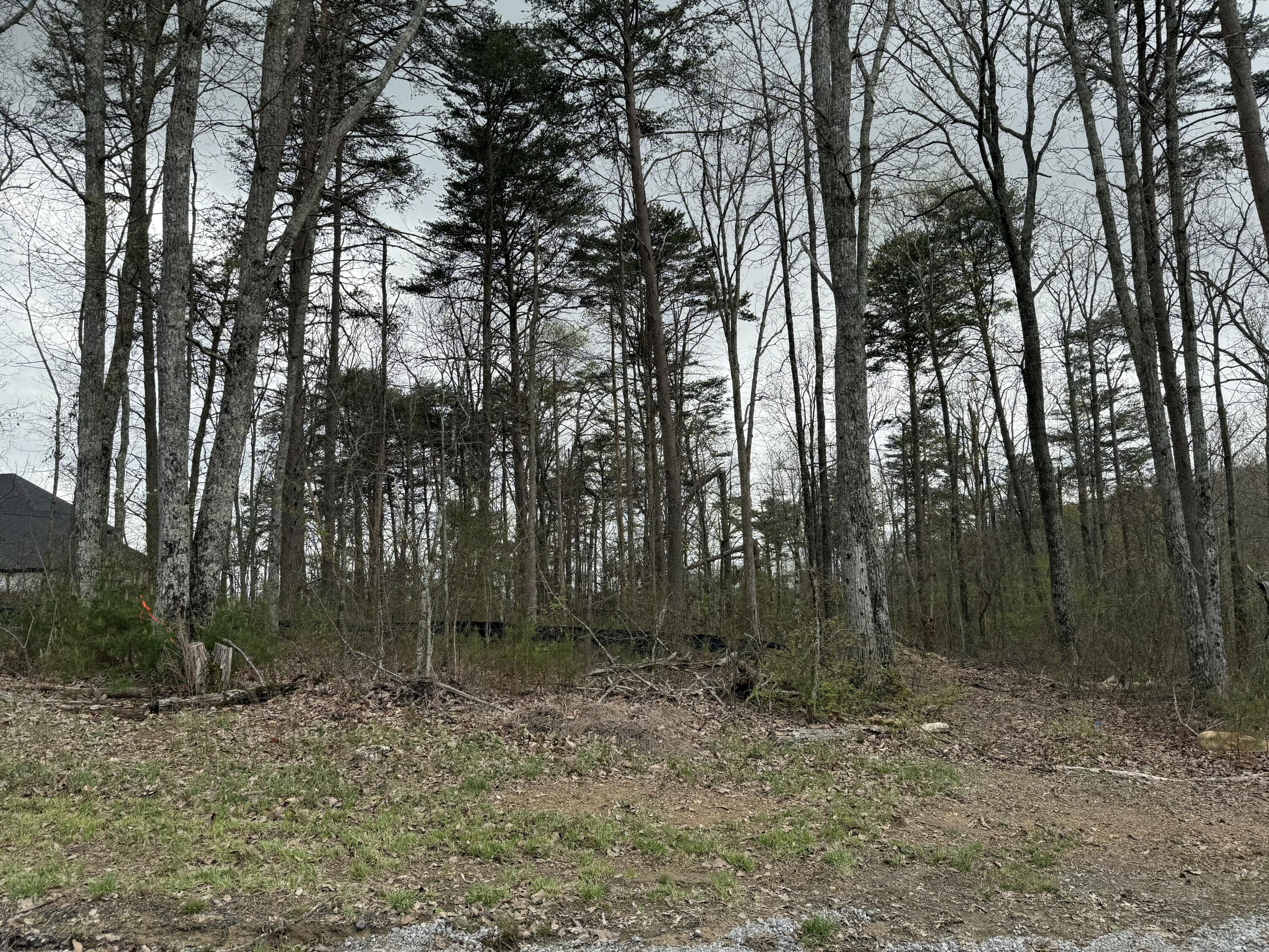 8216 Mountain Laurel Trail #18, Signal Mountain, Tennessee image 1