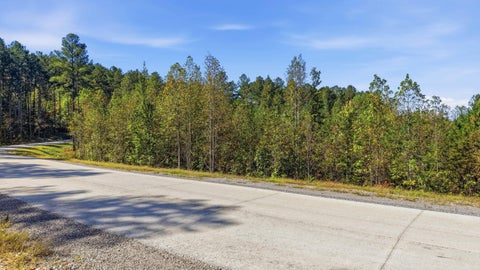 Photo of 0 Birds Eye Way, Guild, TN 37340 (MLS # 1544353)