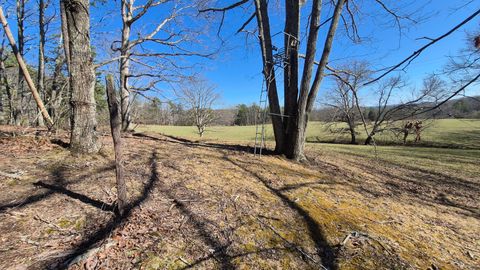 Photo of Lot 61 Teludachee Trail, South Pittsburg, TN 37380 (MLS # 1531103)
