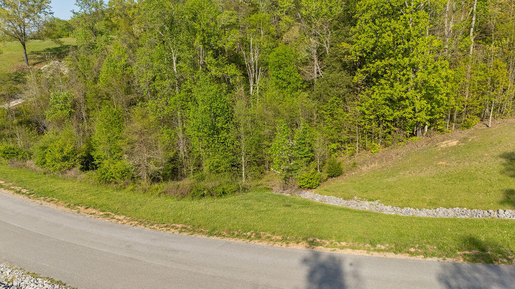 Espalier Drive #LOT 23, Decatur, Tennessee image 11