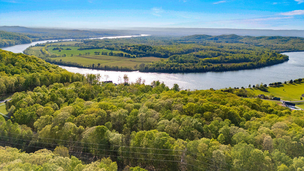 Espalier Drive #LOT 23, Decatur, Tennessee image 14