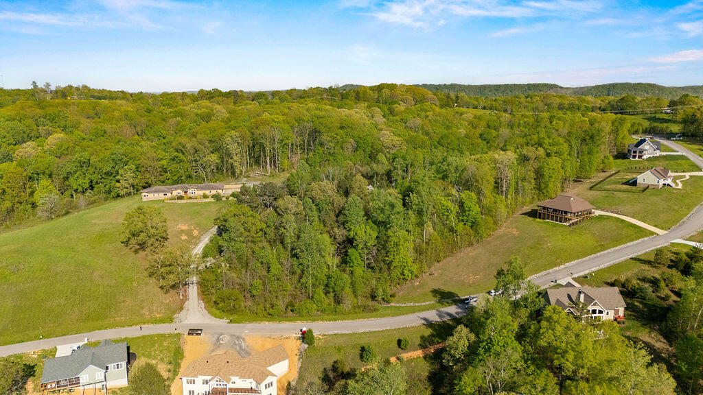Espalier Drive #LOT 23, Decatur, Tennessee image 5