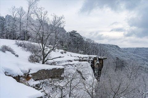 Photo of 110 Falls Lane, Spencer, TN 38585 (MLS # 1524910)