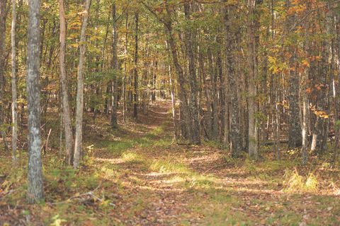 Tiny photo for 1047 Nelson Harrison Road, Evensville, TN 37332 (MLS # 1531180)