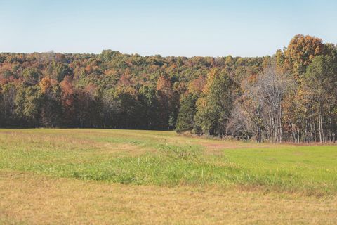 Tiny photo for 1047 Nelson Harrison Road, Evensville, TN 37332 (MLS # 1531180)